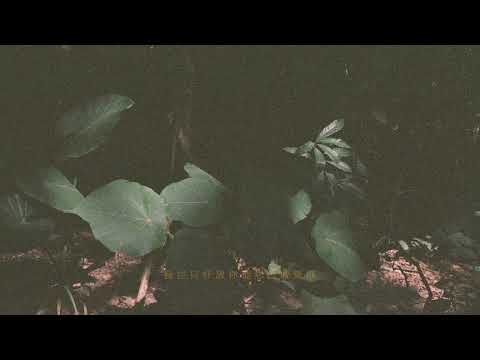Video thumbnail for 你把我的 (You’ve Given My)