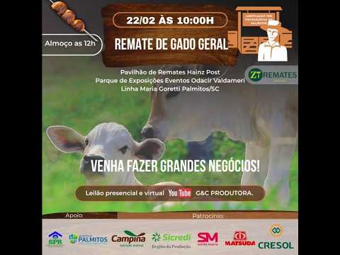 🐂 62° Remate de Gado Geral 📍 Palmitos - SC, dia 🗓️ 22/02, Domingo. ⏰ 10:00 hs.