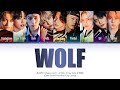BTOB, Stray Kids, ATEEZ - Wolf (Original by EXO) Mayfly: Dance Unit (Color Coded Lyrics Han/Rom/Eng)