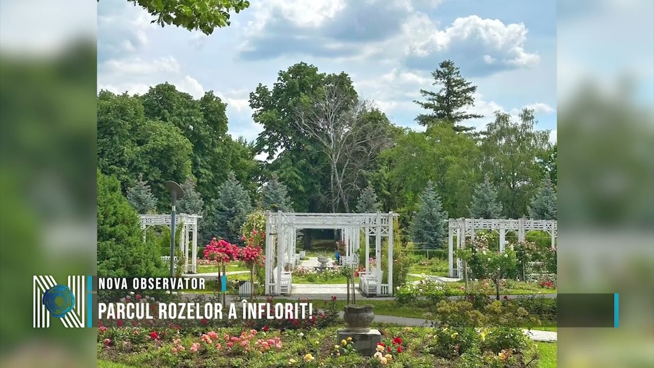 Parcul Rozelor a înflorit!