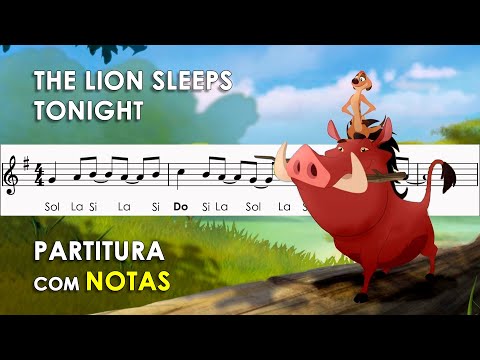 Noite Na Selva - Timão e Pumba