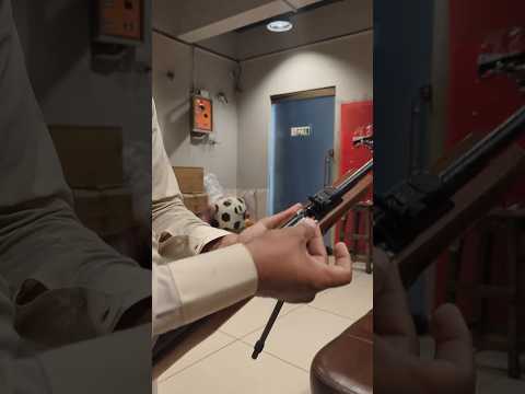 Gamo CFX Royal Airgun Target Shot #airgun #gamoairgun #airsoft #reels #co2airgun