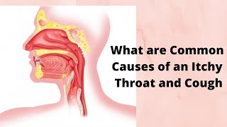 What are Common Causes of an Itchy Throat and Cough