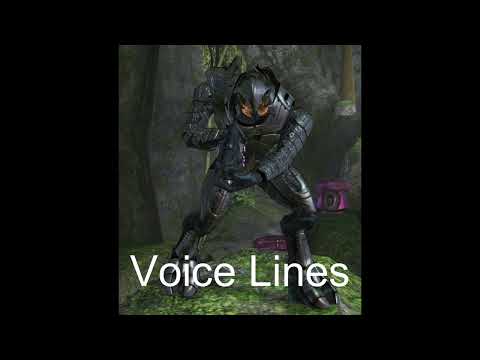 Halo 2 - Arbiter Voice Lines