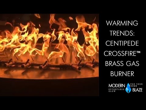 Warming Trends Centipede CROSSFIRE™️ Brass Gas Burner