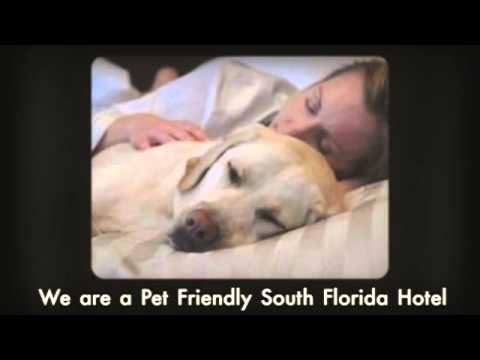 BEST WESTERN PLUS Windsor Gardens Hotel