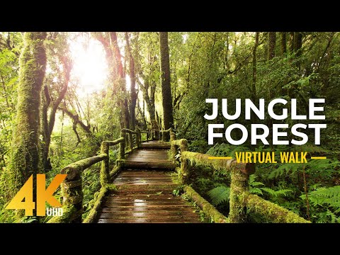 4K Nature Treasures of Hawaii Botanical Garden - Jungle Forest Cinematic Virtual Walk (Slow Motion)
