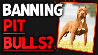 Should Pit Bulls Be Banned In The U.S.? | The Veterinary Roundtable - Ep70