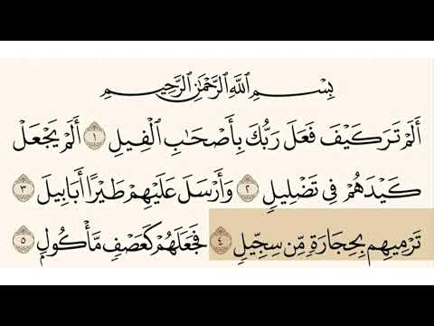 سورة الفيل الشيخ أبو بكر الشاطري
