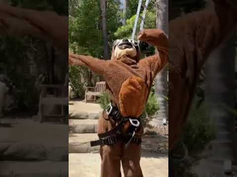 POOF! Be gone 💨  #SHORTS