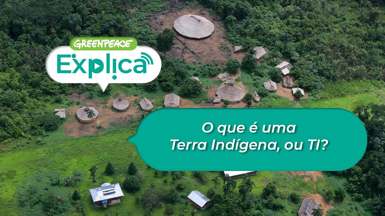 O que é uma Terra Indígena, ou TI? - Greenpeace Explica
