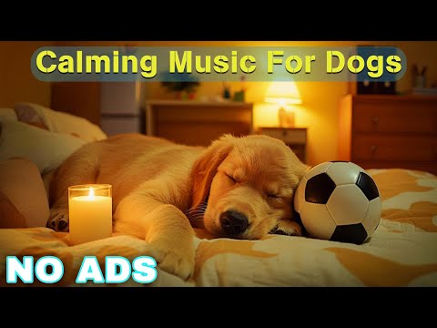 12 HOURS of Relaxing Music For Dogs💖🐶Anti Separation Anxiety Relief🐶💖Pet music🎵 Deep Sleep
