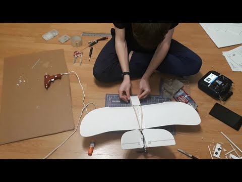 FT Mighty Mini Sparrow | Build Timelapse