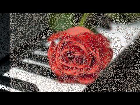 No Me Abandones SALSA