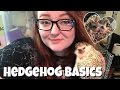Hedgehog Care: The Basics