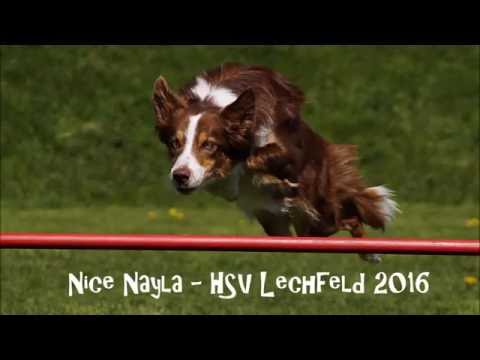 Nice Nayla - HSV Lechfeld 2016 - Nayla GOs to A2 - Mobile Version