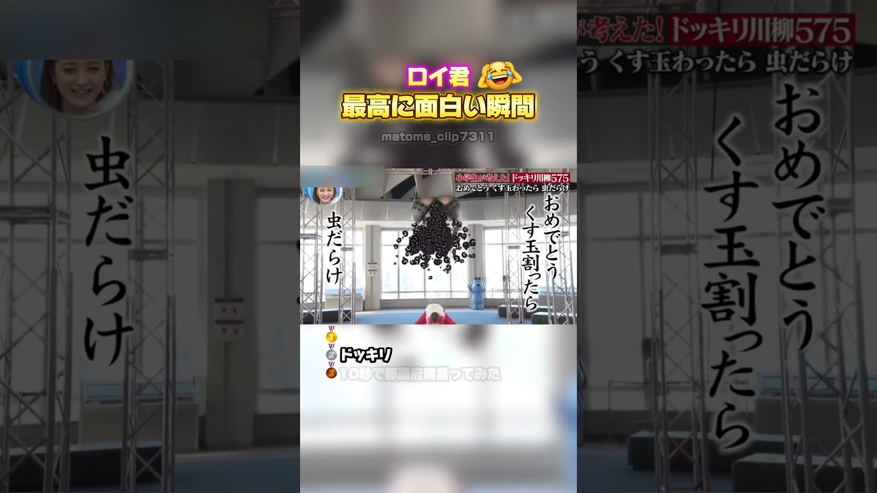 【ロイ君　最高に面白い瞬間】 #最高のシーン #面白い #面白い #面白集 #おもしろ #shorts #ロイ君