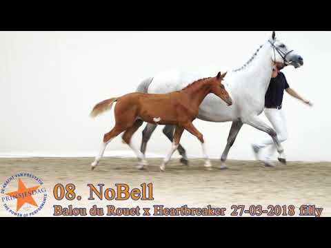 08 NoBell v. Balou du Rouet x Heartbreaker www.prinsjesdag.eu