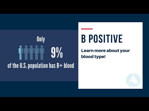 download lagu mp3 mp4 B Positive Blood Type Diet Food List, download lagu B Positive Blood Type Diet Food List gratis, unduh video klip B Positive Blood Type Diet Food List