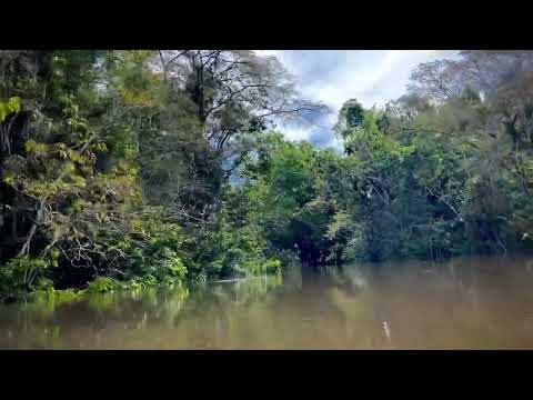 Kawsay Ayahuasca Retreat Journey