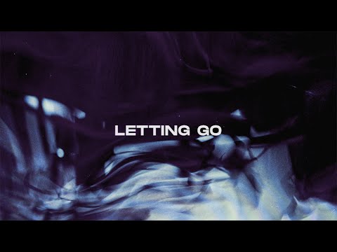 Thomas Gold & R3SPAWN ft. David Shane - Letting Go (Official Lyric Video)