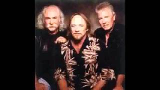 Crosby, Stills &amp; Nash  -   Wasted On The Way  1982
