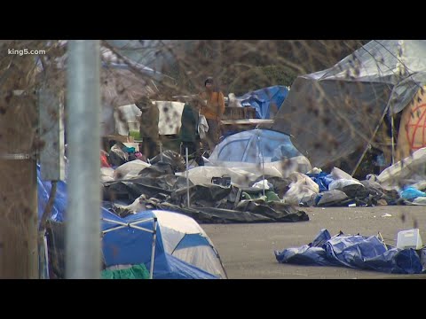 Homeless population, restaurants hit hard by freezing temperatures