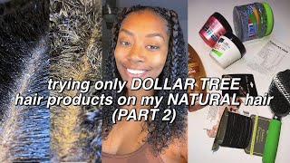 i used only DOLLAR TREE hair products on my NATURAL hair AGAIN | *SHOCKING RESULTS* | Curlyhead Jas