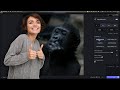 What's NEW in Topaz Labs Photo AI ver 2.3.0