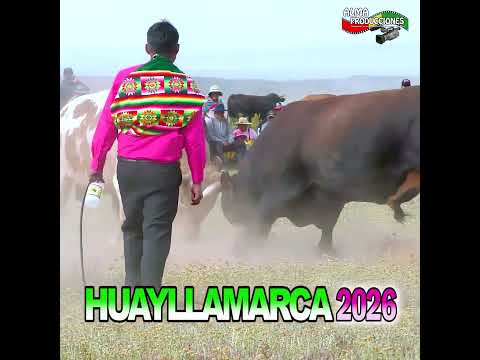 HUAYLLAMARCA 2026  T2-Encuentro Estelar "Huracán-Negro".#shortsviral  #almaproduccionesbolivia