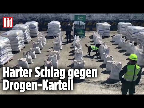 Kolumbien: Kokain im Wert von 37 Millionen Dollar sichergestellt
