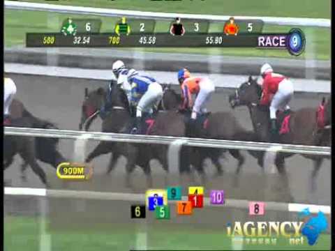 SINGAPORE RACE 01/12/2013 RACE 9 - iAgencyNet.com