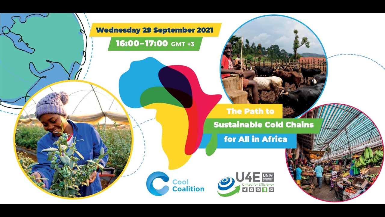 The Path towards Sustainable Cold Chains for All in Africa