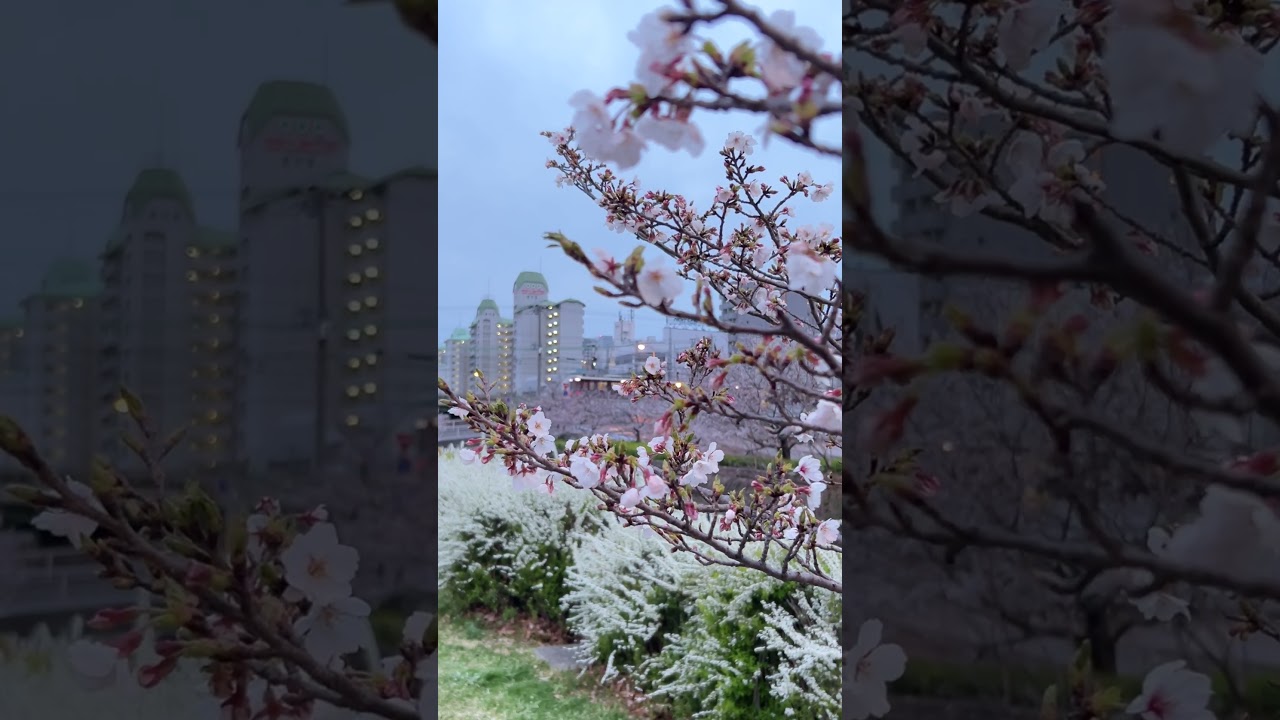 YouTube Short thumbnail