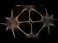 Seeing Sound With Sand Soundwaves The Symphony Of Physics BBC Earth Science