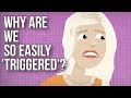 Why Are We so Easily 'triggered'?