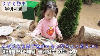 ［한일커플/日韓カップル］またまた自然体験の場所、仁川バンディ図書館へ行ってきました/자연에서 함께놀수 있는 반디세상에 다녀왔어요