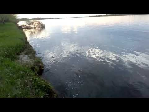 вот это рыба !!!