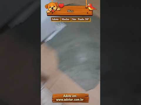 Vídeo de Max