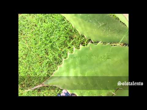 20 mujeres de negro Juan Villaseñor