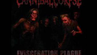 Cannibal Corpse Psychotic Precision and Festering In The Crypt