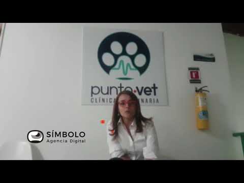 Testimonio