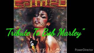 Cameo - Tribute To Bob Marley (Marching Band Arrangement)