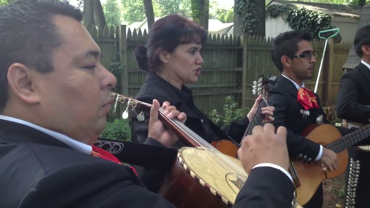 Promotional video thumbnail 4 for Sol Y Rumba
