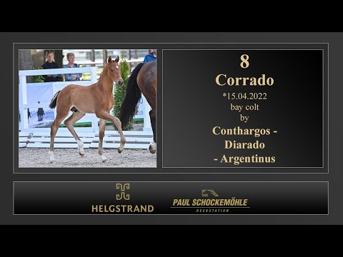 8 Corrado by Conthargos - Diarado