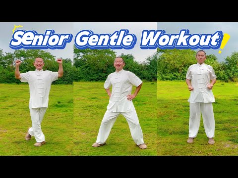 Daily 30 Minute FULL BODY Taichi Fitness Routine