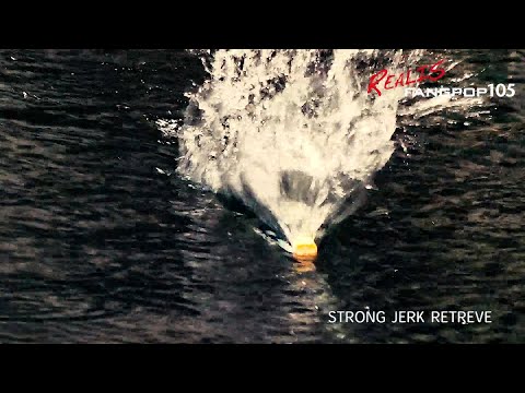 Beast Popper: The versatility of FangPop