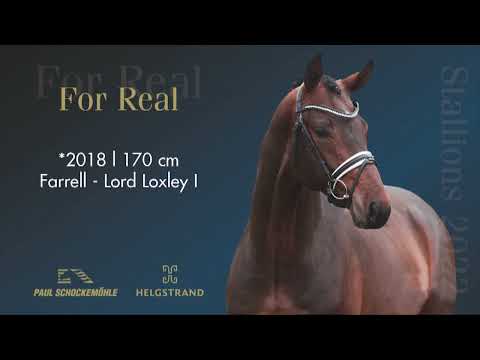For Real - Dressurkollektion 2022 Schockemöhle & Helgstrand (DEU)