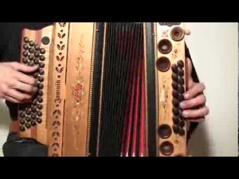 Ziachfuchs  "Hochzeitswalzer"