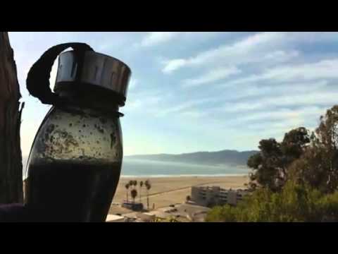 🎥 Neyda here .... #1minHello beach #greendrink break #LA! #NeydaCam #MyDayInLA ✌❤